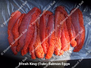 Curing Salmon Eggs 101 - best salmon egg cure