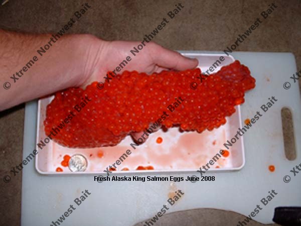 Products Cured/Fresh Uncured Salmon Eggs/Lamprey Eel - Welcome to