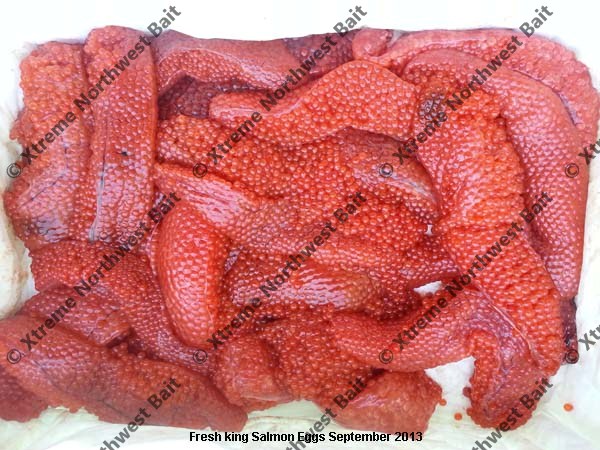 Products Cured/Fresh Uncured Salmon Eggs/Lamprey Eel - Welcome to